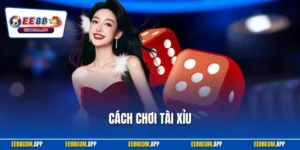 Cách Chơi Tài Xỉu - Chỉ Dẫn Cụ Thể Cho Khách Mới Tham Gia