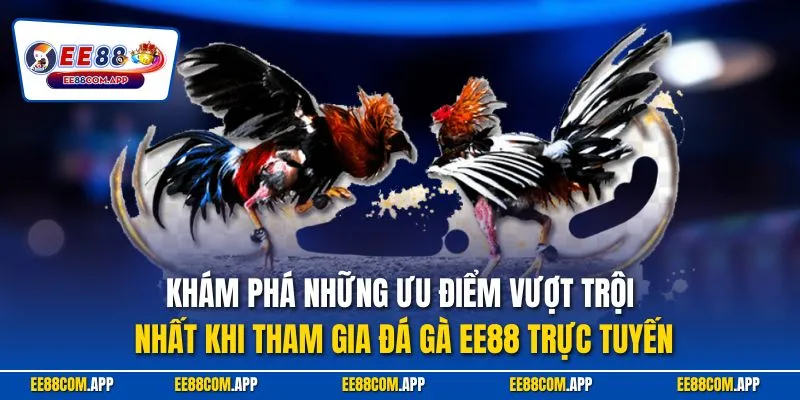 Khám phá những ưu điểm vượt trội nhất khi tham gia đá gà EE88 trực tuyến