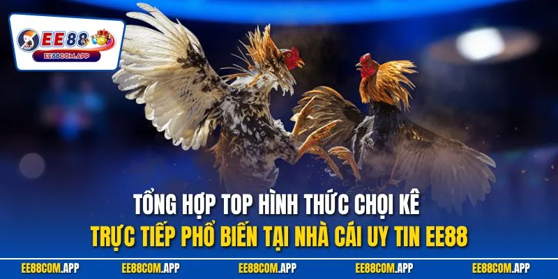 Tổng hợp top hình thức chọi kê trực tiếp phổ biến tại nhà cái uy tín ee88